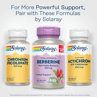 Thumbnail for SOLARAY Berberine 500mg - Berberine Supplement for a Healthy, Active Lifestyle - with Berberine HCl from Indian Barberry - Vegan, Non-GMO, 60-Day Guarantee, Lab Verified - 100 Servings, 100 VegCaps