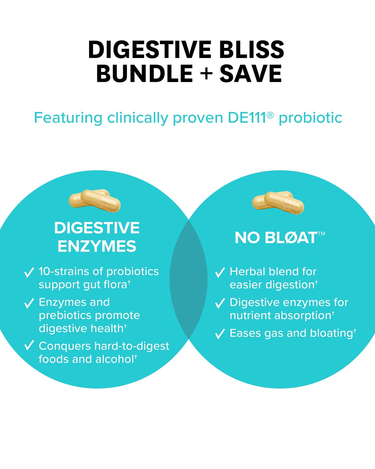 Zenwise Health Digestive Enzymes, No Bloat, and Free Travel Tin with Probiotics for Digestive and Gut Health | Bloating Relief for Women and Men