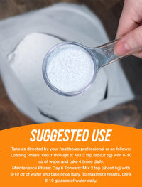 Thumbnail for BulkSupplements.com Creatine Monohydrate Powder - Micronized Creatine Powder, Unflavored - Pure & Gluten Free, 5g per Serving, 500g (1.1 lbs) (Pack of 1)