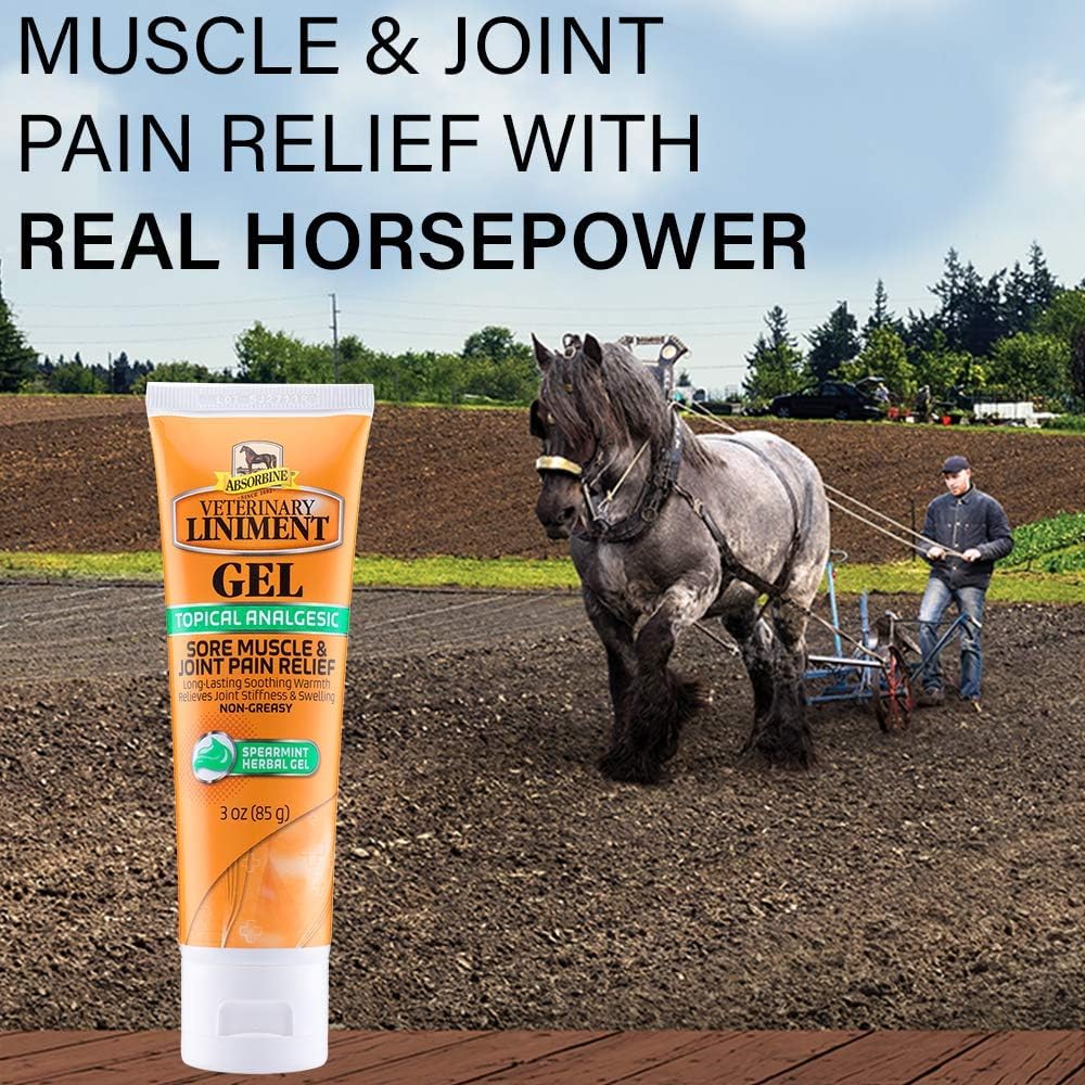 Absorbine Veterinary Liniment Gel