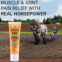 Thumbnail for Absorbine Veterinary Liniment Gel