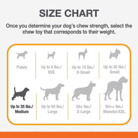 Thumbnail for Nylabone Flexi Chill & Chew Toy for Dogs with Treat Pockets, Dog Toys for Moderate Chewers, Medley Flavor, Medium - Up to 35 lbs, 1 Count