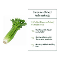 Thumbnail for Eclectic Herb - Celery Juice Powder | Nutritional Supplement | Hydration + Wellness Support, Vitamins + Minerals | Freeze Dried, USDA Organic, Non-GMO, Vegan (3.2 oz | 90 g)