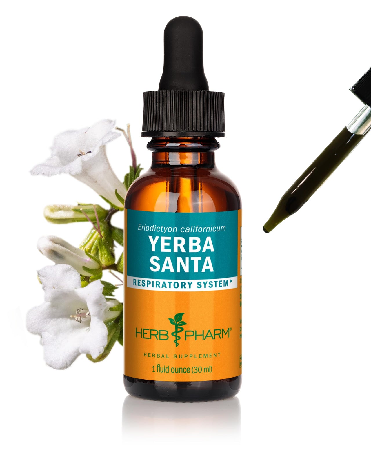 Herb Pharm Yerba Santa Liquid Extract for Respiratory System Support, 1 Fl.Oz