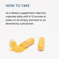 Thumbnail for The Wellness Company Ultimate Spike Detox – Dr. McCullough Designed - 3-in-1 Nattokinase, Turmeric, & Bromelain Extra Strength | 120ct (1 Month Supply)