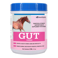 Thumbnail for SmartEquine Gut™ Powder | Healthy Gut Probiotics for Horses | Equine Prebiotic & Probiotic Powder | Horse Stomach Supplement | 2 lb Bucket