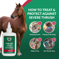 Thumbnail for THRUSH STOP SBS Equine Thrush Treatment for Horses for The Finest Horse Care | The Horse-Journal’s Product of The Year and #1 Pick Against Hoof Thrush (8 Fluid Oz)