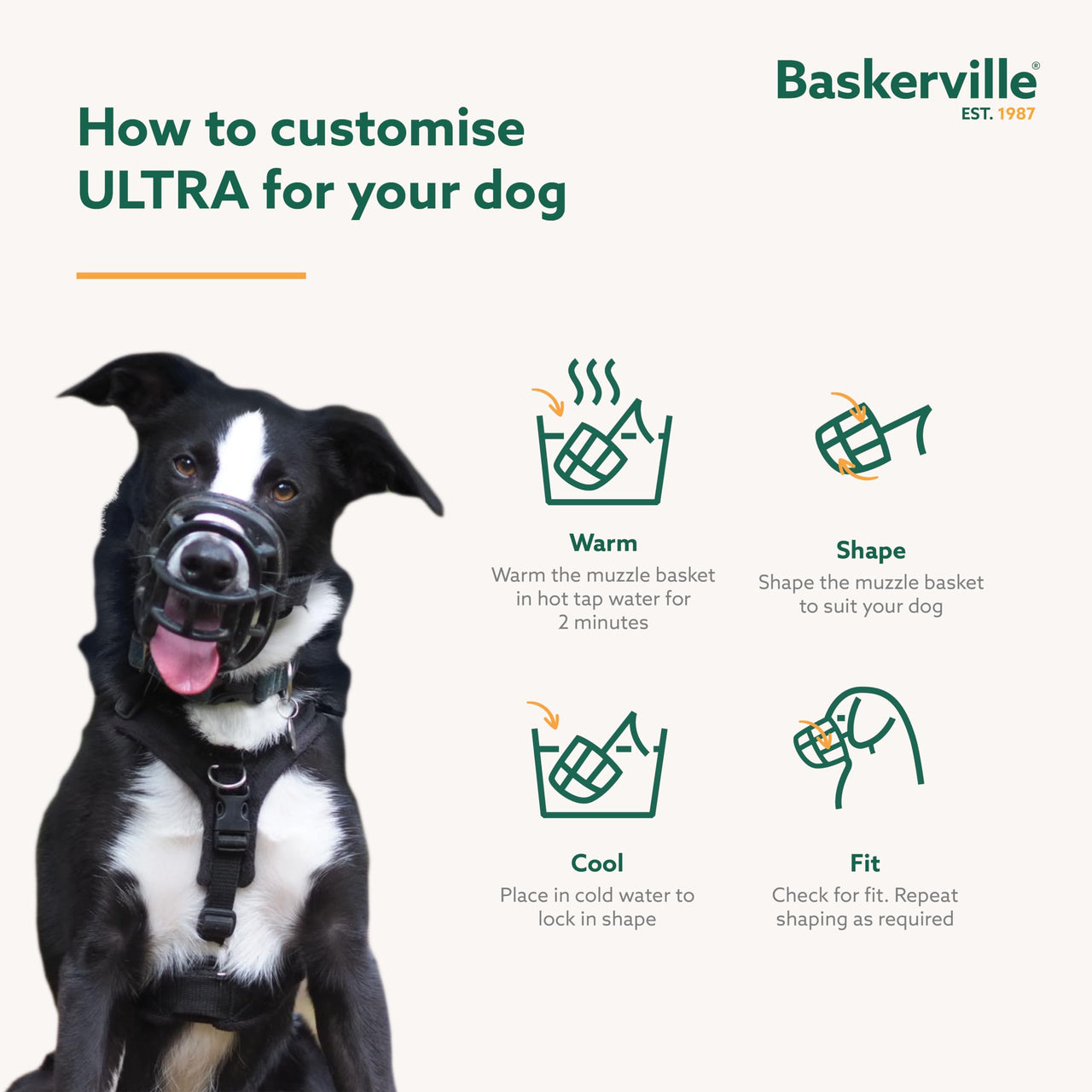 Baskerville ULTRA Muzzle - Patented Humane Design, Breathable, Dog can Pant and Drink, Adjustable, Padded, Training Muzzle for Medium-sized Dogs, Prevents Biting, Wildlife Scavenging (Size 4, Black)