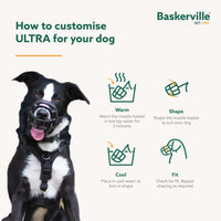 Thumbnail for Baskerville ULTRA Muzzle - Patented Humane Design, Breathable, Dog can Pant and Drink, Adjustable, Padded, Training Muzzle for Medium-sized Dogs, Prevents Biting, Wildlife Scavenging (Size 4, Black)