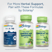Thumbnail for SOLARAY American Ginseng 480 mg | Adaptogenic Herb | Healthy Stress, Energy & Physical Endurance Support | 50 VegCaps