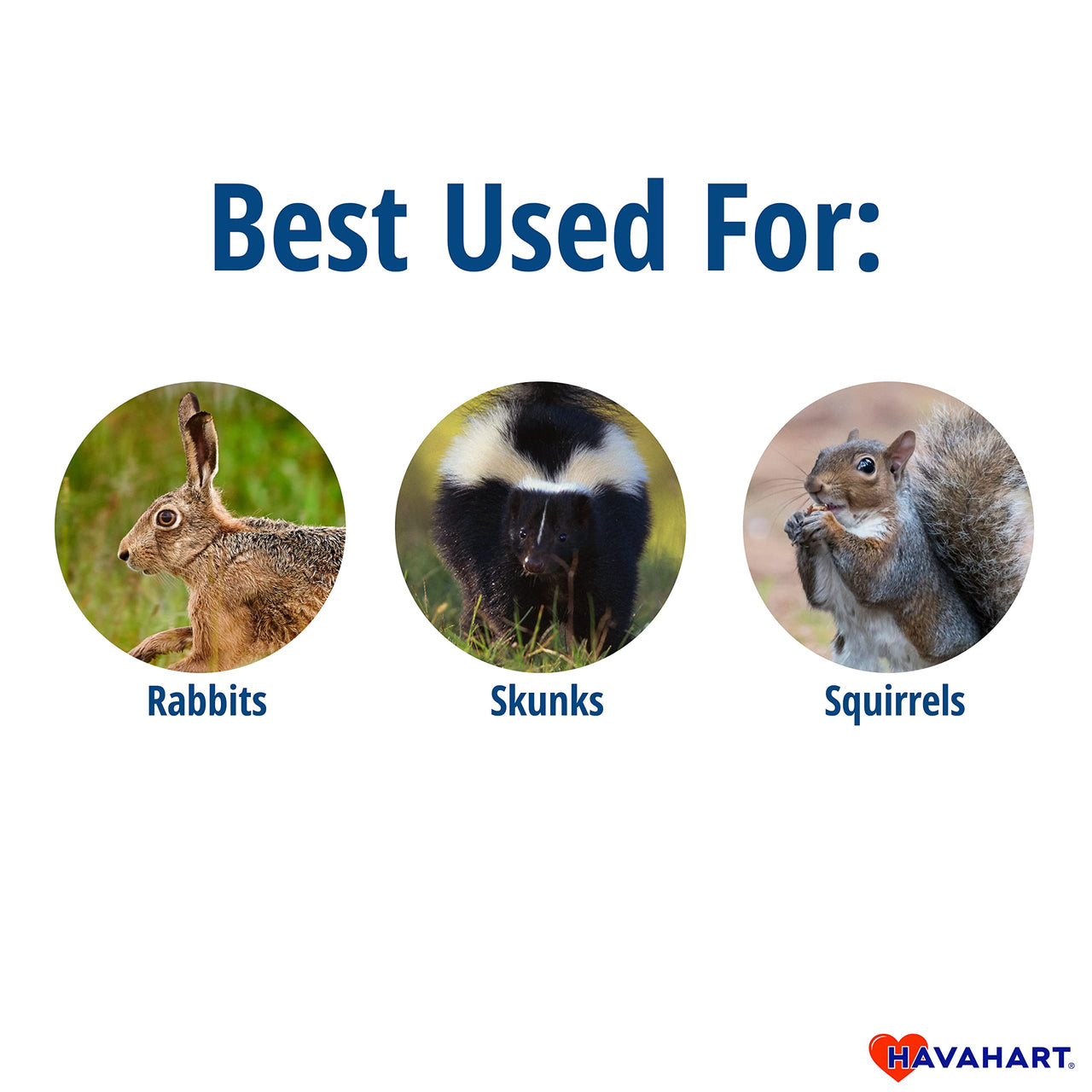 Havahart Easy-Set Catch and Release Small 1-Door Humane Live Animal Trap for Squirrels, Rabbits, Skunks, and Other Small Animals - 1083