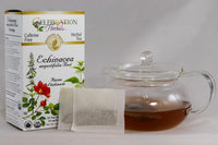 Thumbnail for Celebration HERBALS Echinacea ANG Herb Tea Organic 24 Bag, 0.02 Pound