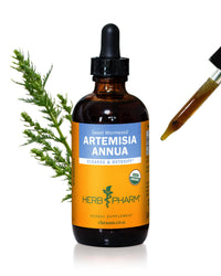 Thumbnail for Herb Pharm Certified Organic Artemisia Annua (Sweet Annie) Liquid Extract - 4 Ounce