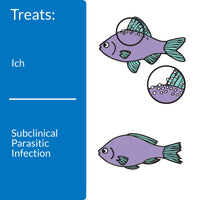 Thumbnail for API LIQUID SUPER ICK CURE Freshwater and Saltwater Fish Medication Bottle, 1.7 oz (12A)