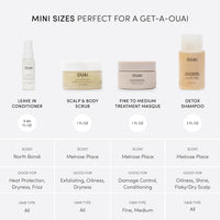 Thumbnail for OUAI Travel Kit - Includes Travel Size Leave In Conditioner, Detox Shampoo, Fine to Medium Hair Mask, Scalp & Body Scrub - Travel Size Stocking Stuffers for Women (4 Count)