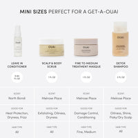 Thumbnail for OUAI Travel Kit - Includes Travel Size Leave In Conditioner, Detox Shampoo, Fine to Medium Hair Mask, Scalp & Body Scrub (4 Count)