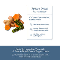Thumbnail for Eclectic Herb - Organic Turmeric & Pepper Capsules | Musculoskeletal System & Joint Health Support | Herbal Supplement | Vegan, Non-GMO, Gluten Free, Freeze-Dried (90 CT | 430 mg)