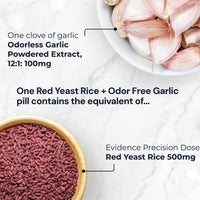 Thumbnail for Blueprint Bryan Johnson Red Yeast Rice and Odor Free Garlic Supplement - Herbal Dietary Supplement for Women and Men - Vegan - (30 Servings)