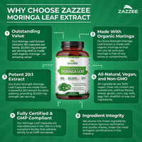 Thumbnail for Zazzee USDA Organic Moringa Leaf 20:1 Extract, 180 Vegan Capsules, 3 Month Supply, Certified Kosher, Moringa Oleifera, Antioxidant, Immune & Cellular Support, Superfood Supplement, Made in the USA