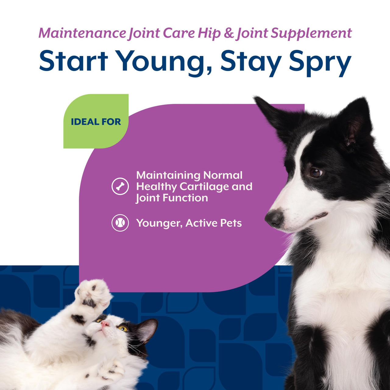 NaturVet Glucosamine DS Level 1 Maintenance Care Hip & Joint Support Pet Supplement for Dogs & Cats –Glucosamine, Chondroitin, Antioxidants –Supports Cartilage, Joint Function – 60 Ct.