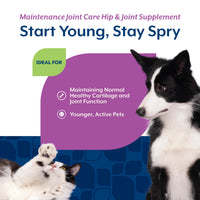 Thumbnail for NaturVet Glucosamine DS Level 1 Maintenance Care Hip & Joint Support Pet Supplement for Dogs & Cats –Glucosamine, Chondroitin, Antioxidants –Supports Cartilage, Joint Function – 60 Ct.
