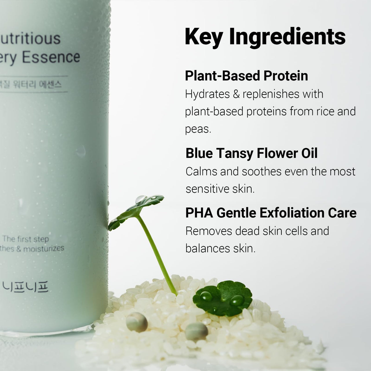 NEAF NEAF Nutritious Watery Essense, All-in-one Power Plant-Protein Toner for Soothing and Hydrating, Gentle Exfoliation, CICA Calming, Niacinamide, Korean Skincare, Glass Skin (180ml / 6.08 fl.oz.)