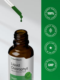 Thumbnail for Horbäach Liquid Chlorophyll Drops | 2 oz | Vegan, Non-GMO, and Gluten Free Formula | Natural Peppermint Flavor
