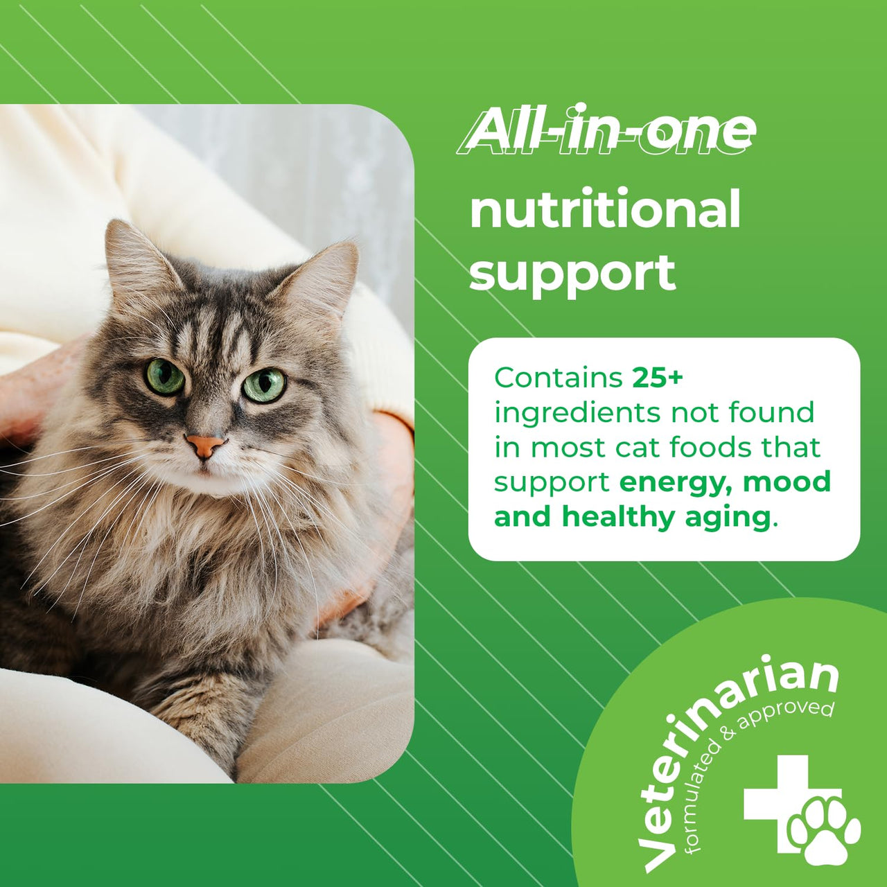 VetriScience Senior 27+ Active Health Chews, Nu Cat Daily Multivitamin for Senior Cats, Balanced Vitamins, Minerals and Antioxidants, Healthy Aging and Wellness Support, Fish, 30 Count