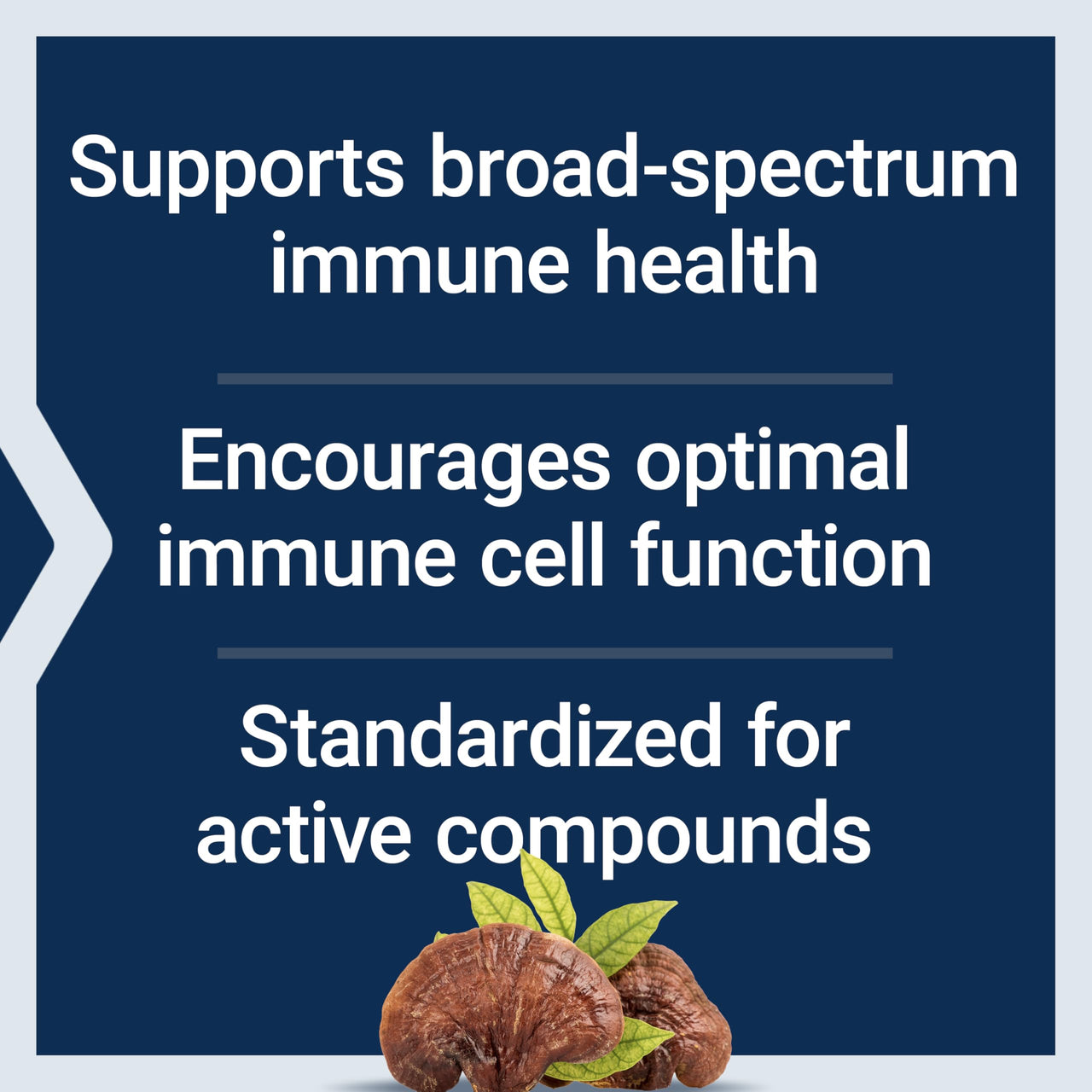 Life Extension Reishi Extract Mushroom Complex - Mushrooms Herbal Supplement for Immune Support – Ganoderma Lucidum Extract - Gluten-Free, Non-GMO, Vegetarian – 60 Capsules