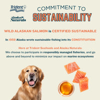 Thumbnail for Alaska Naturals Wild Alaskan Salmon Fish Oil Supplement for Dogs Skin and Coat with EPA DHA Omega 3 Fatty Acids Liquid Food Topper 15.5 oz.