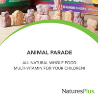 Thumbnail for NaturesPlus Animal Parade Tummy Zyme, Tropical Fruit Flavor - 90 Animal-Shaped, Chewable Tablets - Pack of 2 - Digestive Aid & Probiotic - Vegetarian, Gluten Free - 180 Total Servings
