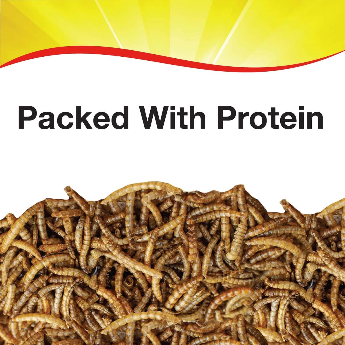 Wild Delight Mealworms Wild Bird Food, 16 oz Bag, Brown