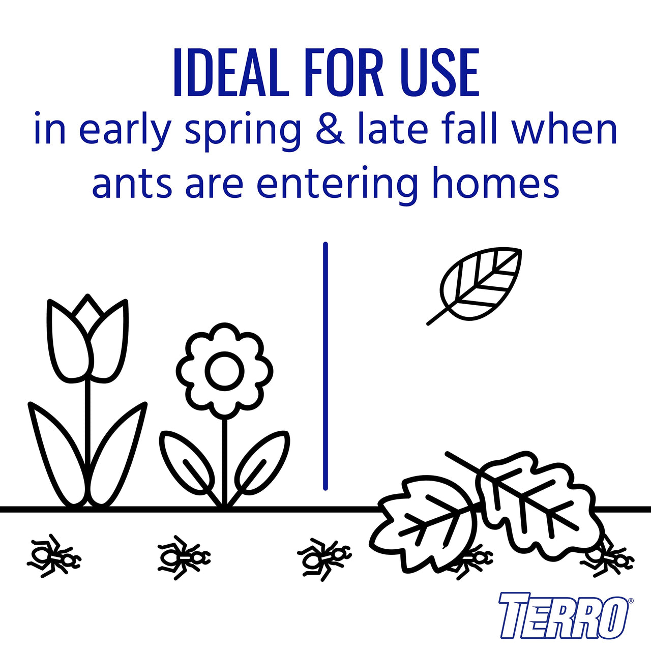 TERRO T1700SR 19 oz Outdoor Ant Killer Spray