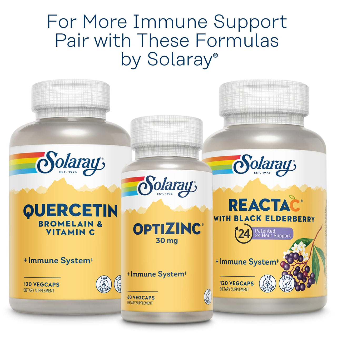 SOLARAY L-Lysine Monolaurin Immune Support Supplement, 1:1 Ratio for Immune System Function, 500 mg Each, 60-Day Money Back Guarantee, 30 Servings, 60 VegCaps