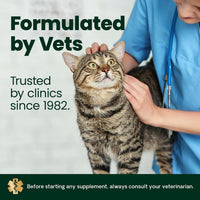 Thumbnail for VetriScience Ultimate Strength Healthy Hip & Joint Chews, GlycoFlex Glucosamine, Chondroitin and Green-Lipped Mussel Joint Supplement for Cats, Soothe Joint Discomfort, Fish, 30 Count