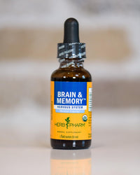 Thumbnail for Herb Pharm Organic Nootropic Brain & Memory Supplement with Ginkgo Biloba Liquid Extract: Fast Absorption for Mental Focus Support, Ginkgo Supplement, Vegan, Gluten-Free, Non-GMO, 1 Oz