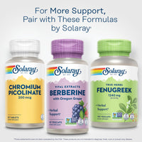 Thumbnail for SOLARAY Berberine 250mg - Berberine Supplement for a Healthy, Active Lifestyle - with Berberine HCl from Indian Barberry Plus Oregon Grape - Vegan, Non-GMO, 60-Day Guarantee - 60 Servings, 60 VegCaps