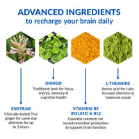 Thumbnail for BioTrust Brain Bright - Daily Nootropic Boost for Focus, Concentration, Mental Clarity - Caffeine Free Nootropics Brain Support Supplement - Thai Ginger, Ginkgo, Folate, L-Theanine - 30 Servings