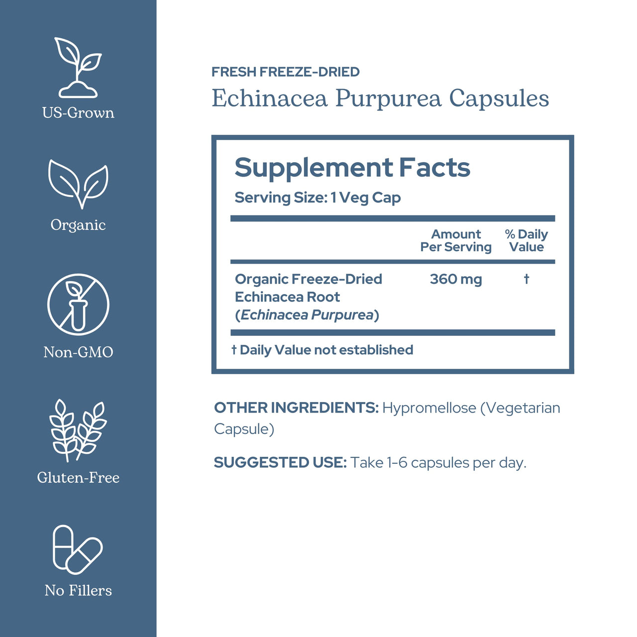 Eclectic Institute Raw Fresh Freeze-Dried Non-GMO Echinacea Purpurea Root | Immune Support | 90 CT (360 mg)