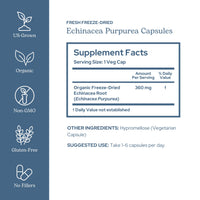Thumbnail for Eclectic Institute Raw Fresh Freeze-Dried Non-GMO Echinacea Purpurea Root | Immune Support | 90 CT (360 mg)