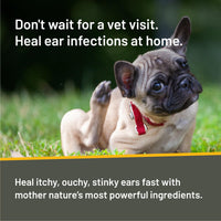 Thumbnail for Absorbine Silver Honey Rapid Ear Care Vet Strength Ear Cleaner + Infection Treatment, 10-Day Regimen for 1 Ear, Safe for Dogs & Cats, Medical Grade Manuka Honey & MicroSilver BG