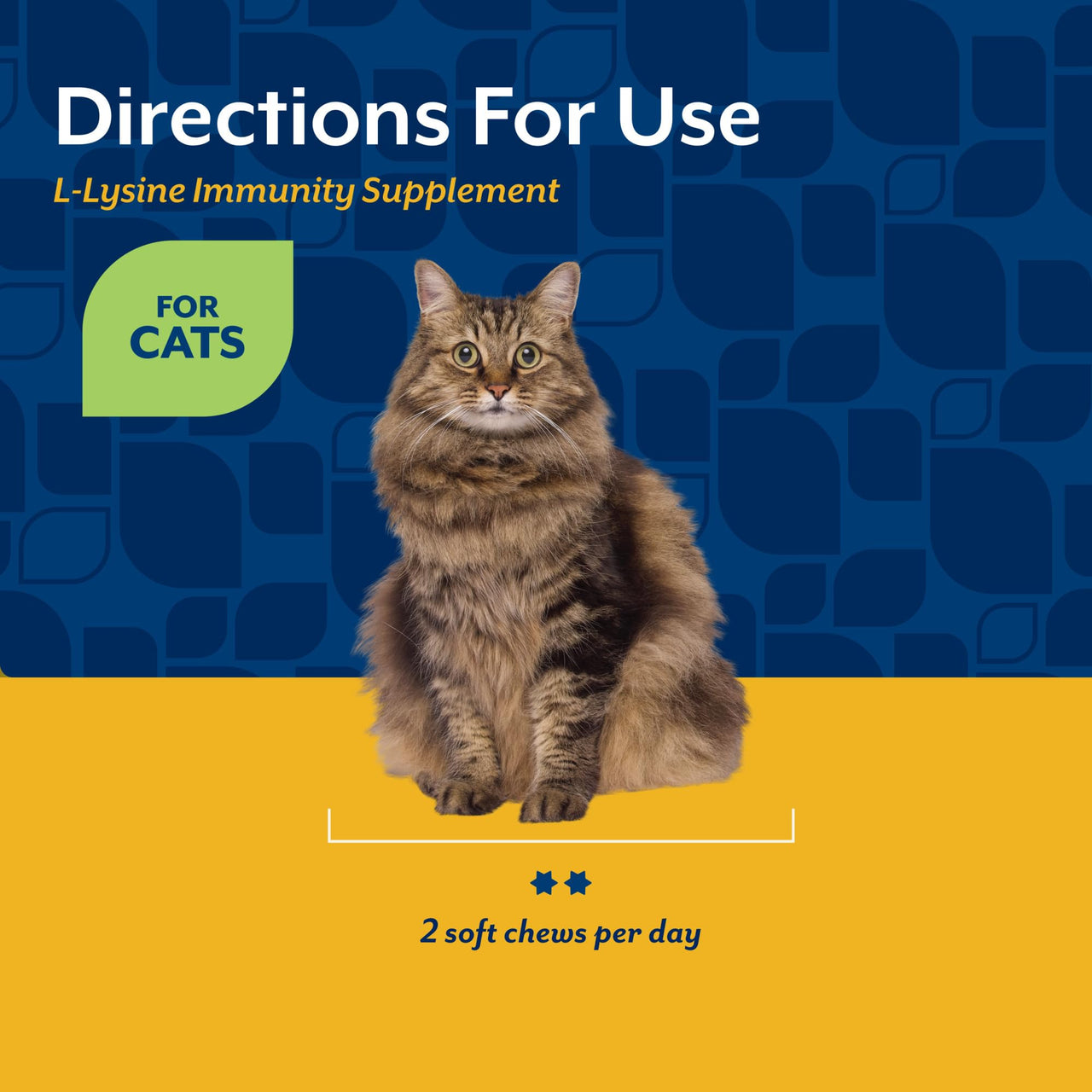 NaturVet L-Lysine Immune Support Plus Antioxidants Cat Supplement – Helps Support Eye Health, Immune System for Cats – Includes Amino Acids – 60 Ct. Soft Chews, 30-Day Supply
