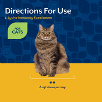 Thumbnail for NaturVet L-Lysine Immune Support Plus Antioxidants Cat Supplement – Helps Support Eye Health, Immune System for Cats – Includes Amino Acids – 60 Ct. Soft Chews, 30-Day Supply