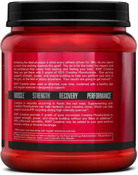 Thumbnail for BSN Micronized Creatine Monohydrate Powder, Unflavored Creatine Powder, Micronized, Supports Muscle Building, Supports Muscle Strength, Gym Supplement, 5g per Serving, 5000mg per Servings, 60 Servings
