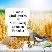 Thumbnail for LAFEBER'S Nutriberries Original Cockatiel 2 pk 10 oz
