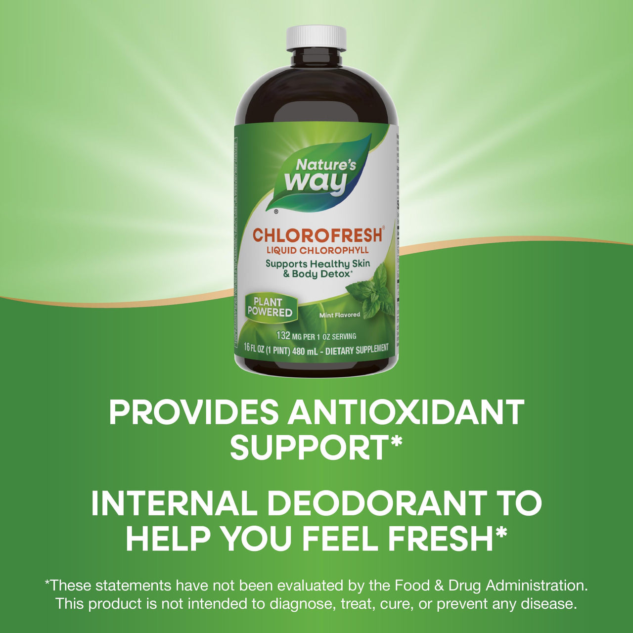 Nature's Way Chlorofresh Liquid Chlorophyll Internal Deodorant 16 fl oz, Mint Flavor (Packaging May Vary)