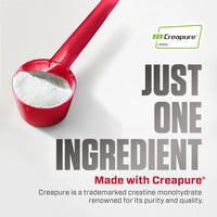 Thumbnail for Dymatize 100% Creatine Monohydrate with CREAPURE, 5g Per Serving, 60 Servings (300g), Creatine for Women and Men, Gluten Free