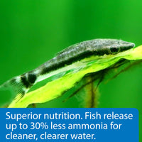 Thumbnail for API ALGAE EATER WAFERS Algae Wafer Fish Food 1.3-Ounce Container