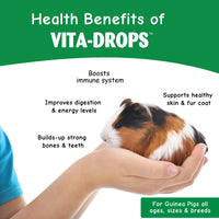 Thumbnail for OASIS # 80061 Guinea Pig Vita Drop, 2-Ounce