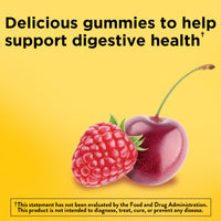 Thumbnail for Nature Made Digestive Probiotics and Energy B12 Gummies, Probiotics for Women and Men, 50 Probiotic Gummies, 25 Day Supply